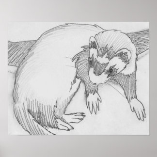 "Baby" Ferret Teckning Poster