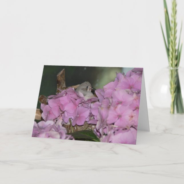 Baby Finch med Hydrangias Greeting Card Kort (Framsida)