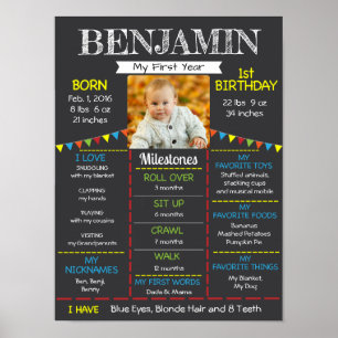 Baby First Birthday Photo Poster