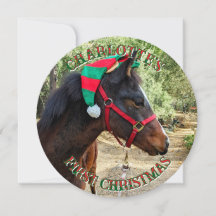 Baby First jul Horse Round Card