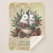 Baby First jul Two Bunnies in A Bowl