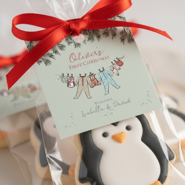 Baby First Julhelg Gift Märkre Gåvor Etiketter (Cute Gender Neutral Baby It's Cold Winter Wonderland Baby's First Christmas Favor Tags in Sage Green)