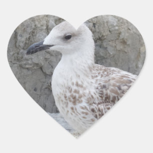 Baby Fiskmås Heart Sticker Hjärtformat Klistermärke