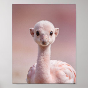 Baby Flamingo Porträtt – Söt Nursery Djur Vägg Poster