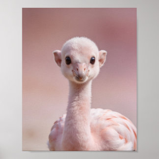 Baby Flamingo Porträtt – Söt Nursery Djur Vägg Poster