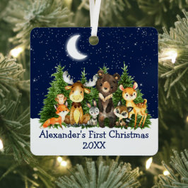 Baby Första julgranen Animals Måne Blue Julgransdekoration