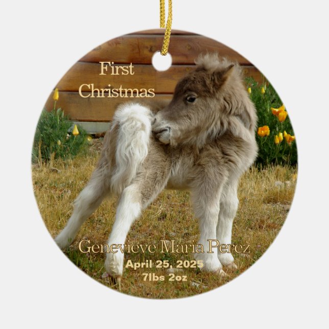 Baby Första julpony i Poppies Ornament (Framsidan)