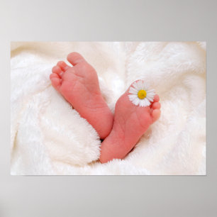 Baby-fot med Daisy Poster