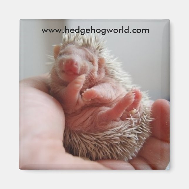 Baby fötter magnet (Framsidan)