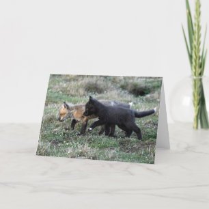 Baby Foxes på Prowl Helgkort