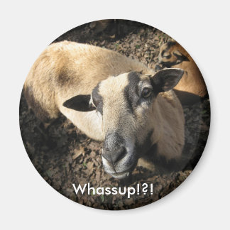 Baby från Black Oak Ranch Magnet