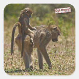 Baby Fyrkantigt Klistermärke