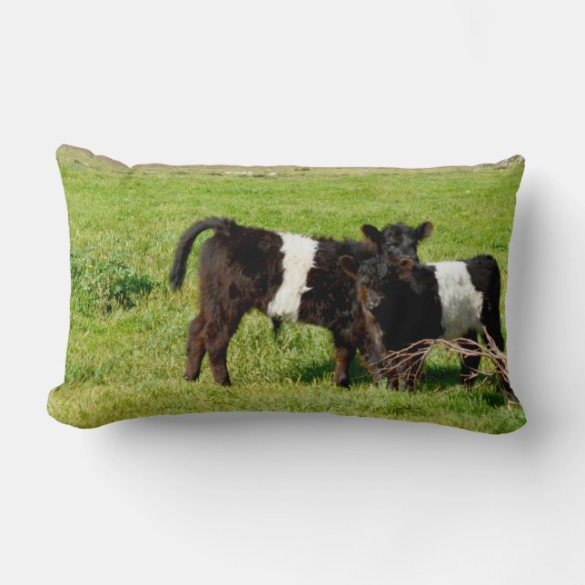 Baby Galloway Calves, Lumbar Cushion Lumbarkudde (Framsida)