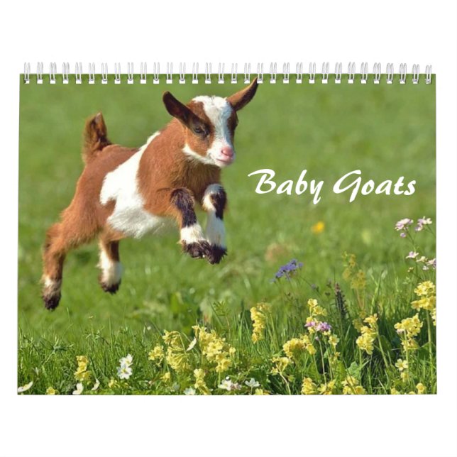 Baby-gästkalender Kalender (Omslag)