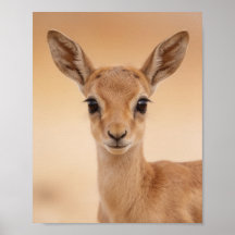 Baby Gazelle Porträtt – Söt Nursery Djur Vägg A