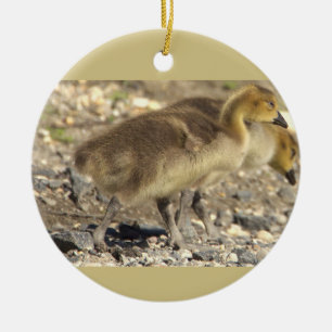 Baby Geese Photo Ornament