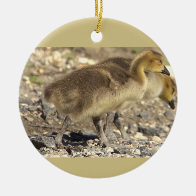 Baby Geese Photo Ornament (Framsidan)