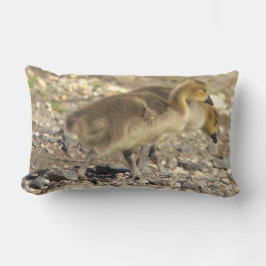 Baby Geese Photo Pillow Lumbarkudde