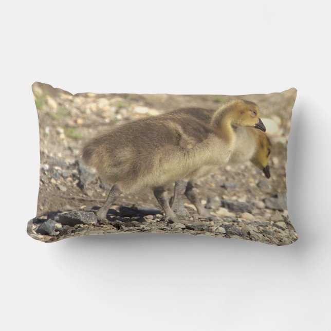 Baby Geese Photo Pillow Lumbarkudde (Framsida)