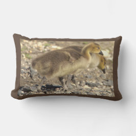 Baby Geese Photo Pillow Lumbarkudde