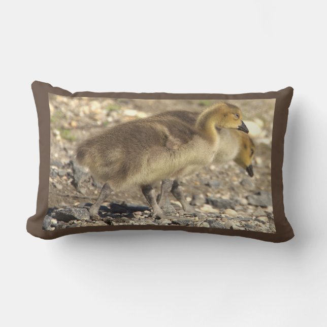 Baby Geese Photo Pillow Lumbarkudde (Framsida)
