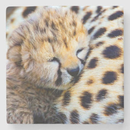 Baby Gepard Stenunderlägg