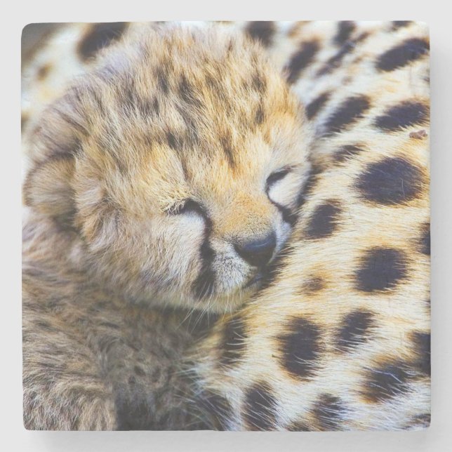 Baby Gepard Stenunderlägg (Framsidan)