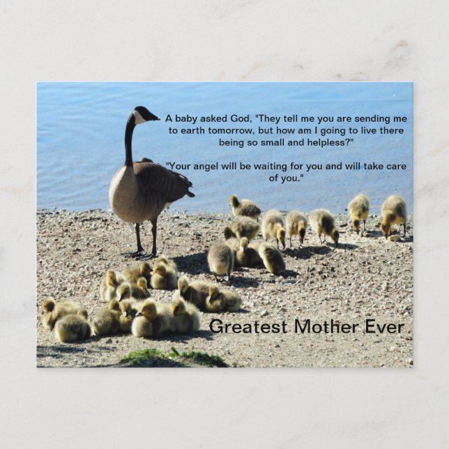 Baby Gese och Mor Goose Vykort (Framsida)