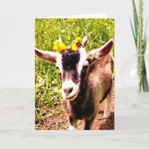 Baby-get med blommor - Tomt kort