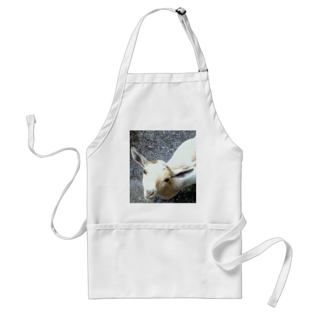 Baby-getkött - djurparksdesign förkläde (Framsidan)