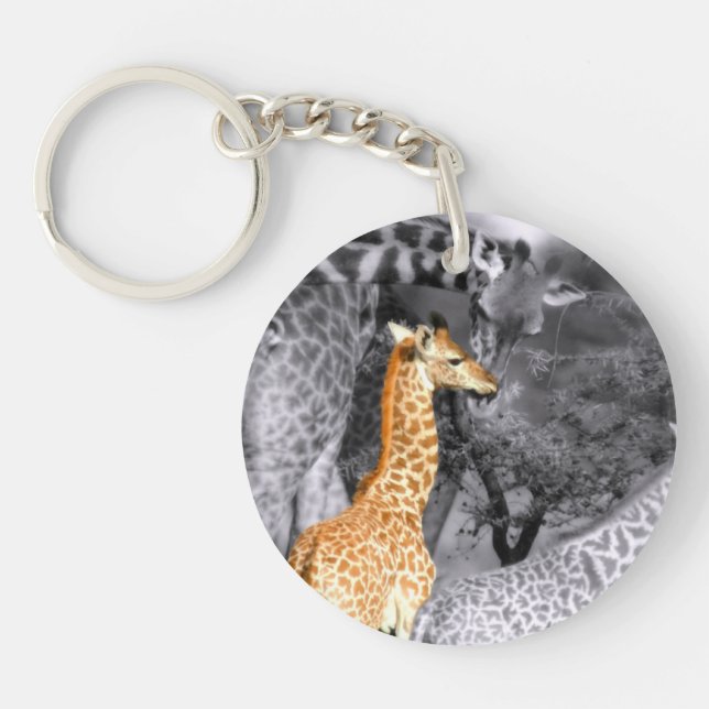 Baby Giraffe (Framsidan)