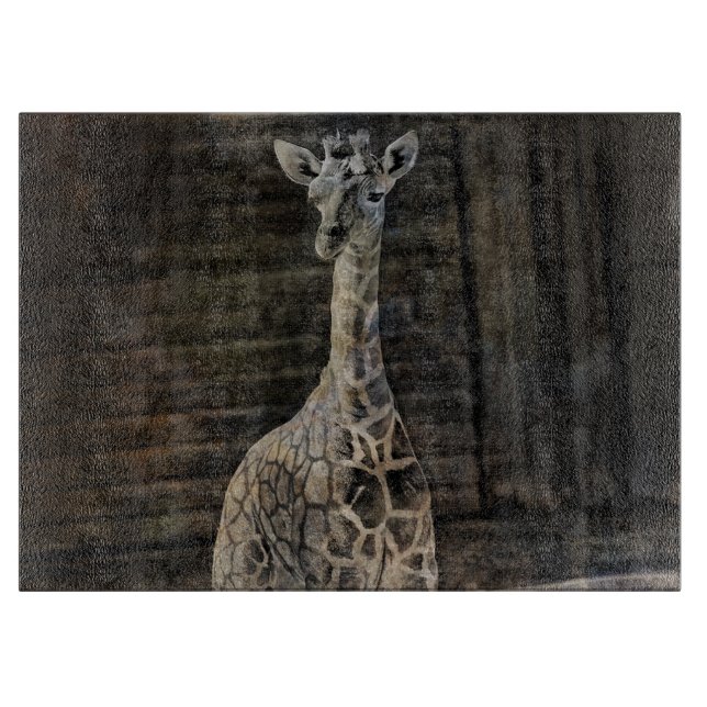 Baby Giraffe (Framsidan)