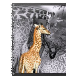 Baby Giraffe Anteckningsbok