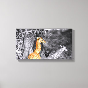 Baby Giraffe Canvastryck