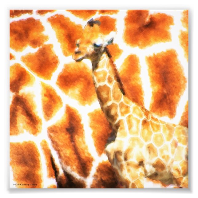 Baby Giraffe Fototryck (Framsidan)