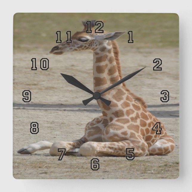 Baby Giraffe Fyrkantig Klocka (Framsida)