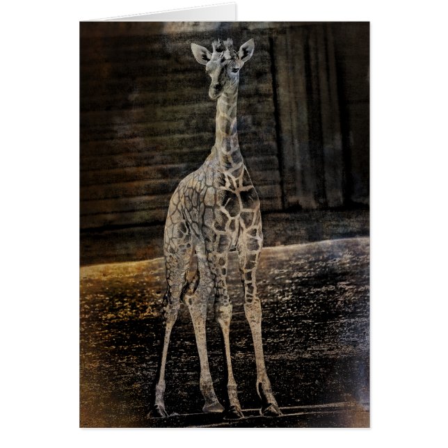 Baby Giraffe Hälsningskort (Framsidan)