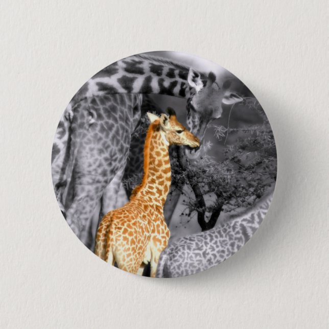 Baby Giraffe Knapp (Framsida)