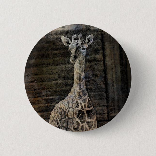 Baby Giraffe Knapp (Framsida)