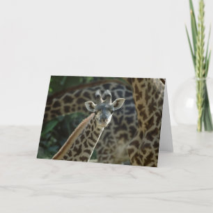 Baby Giraffe Kort