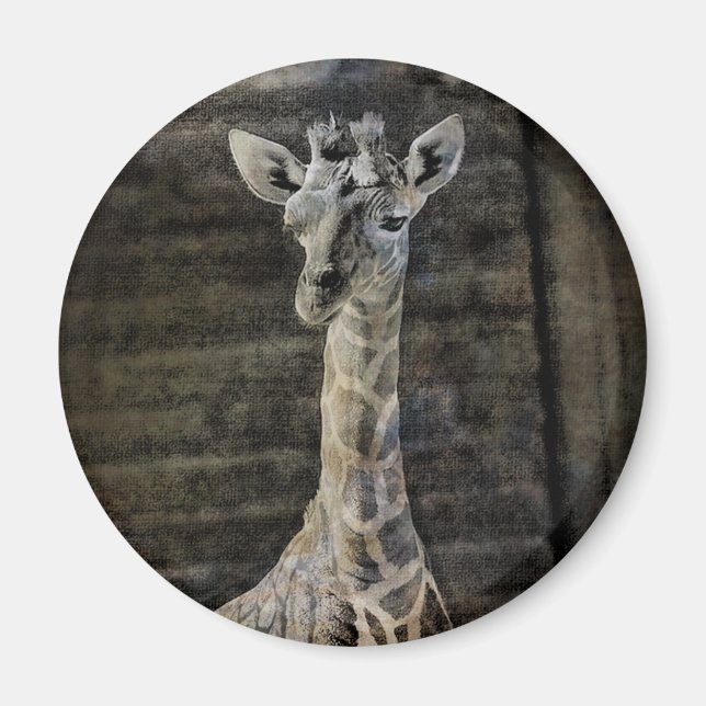 Baby Giraffe Magnet (Framsidan)