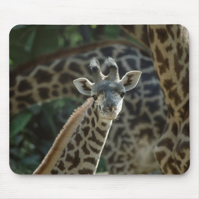 Baby Giraffe Musmatta (Framsidan)