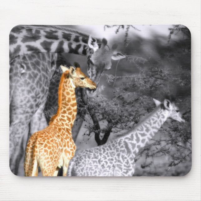 Baby Giraffe Musmatta (Framsidan)