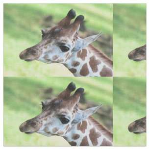 Baby giraffe tyg