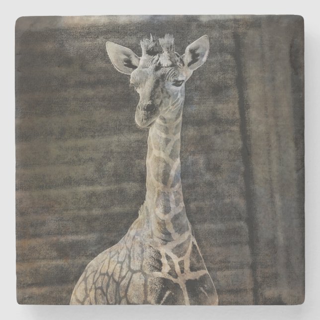 Baby Giraffe Underlägg Sten (Framsidan)
