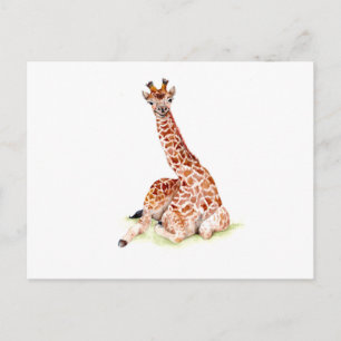 Baby Giraffe Vykort