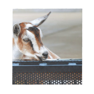 Baby Goat Anteckningsblock
