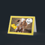 BABY GOAT ÄR INTE RUNT PÅ BIRTHDAY FRIEND KORT<br><div class="desc">DEN HÄR LITEN KID ÄR *INTE RUNT* NÄR HAN ELLER HON ÖNSKAR SIN HÄR ****a SPECIELL BRITDAG***</div>
