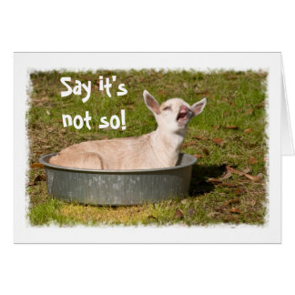 Baby Goat i ett Pan Greeting Card Hälsningskort