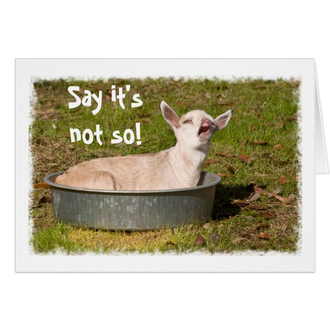 Baby Goat i ett Pan Greeting Card Hälsningskort (Framsidan Horizontal)